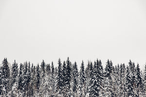 Photo Journal: Winter in Swedish Lapland