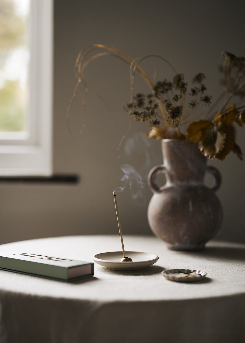 Clove and Cinnamon Incense Sticks The Future Kept