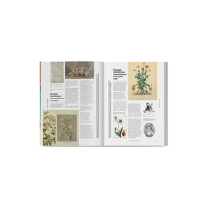 Blumenhaus Issue 3